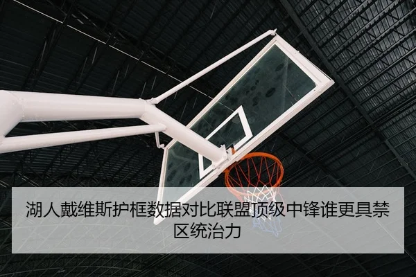 湖人戴维斯护框数据对比联盟顶级中锋谁更具禁区统治力