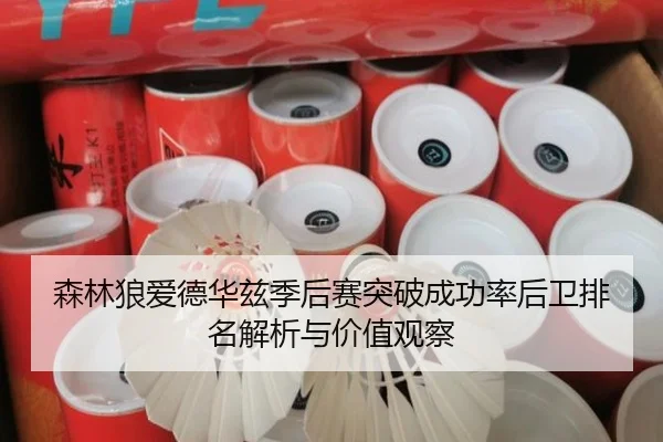 森林狼爱德华兹季后赛突破成功率后卫排名解析与价值观察